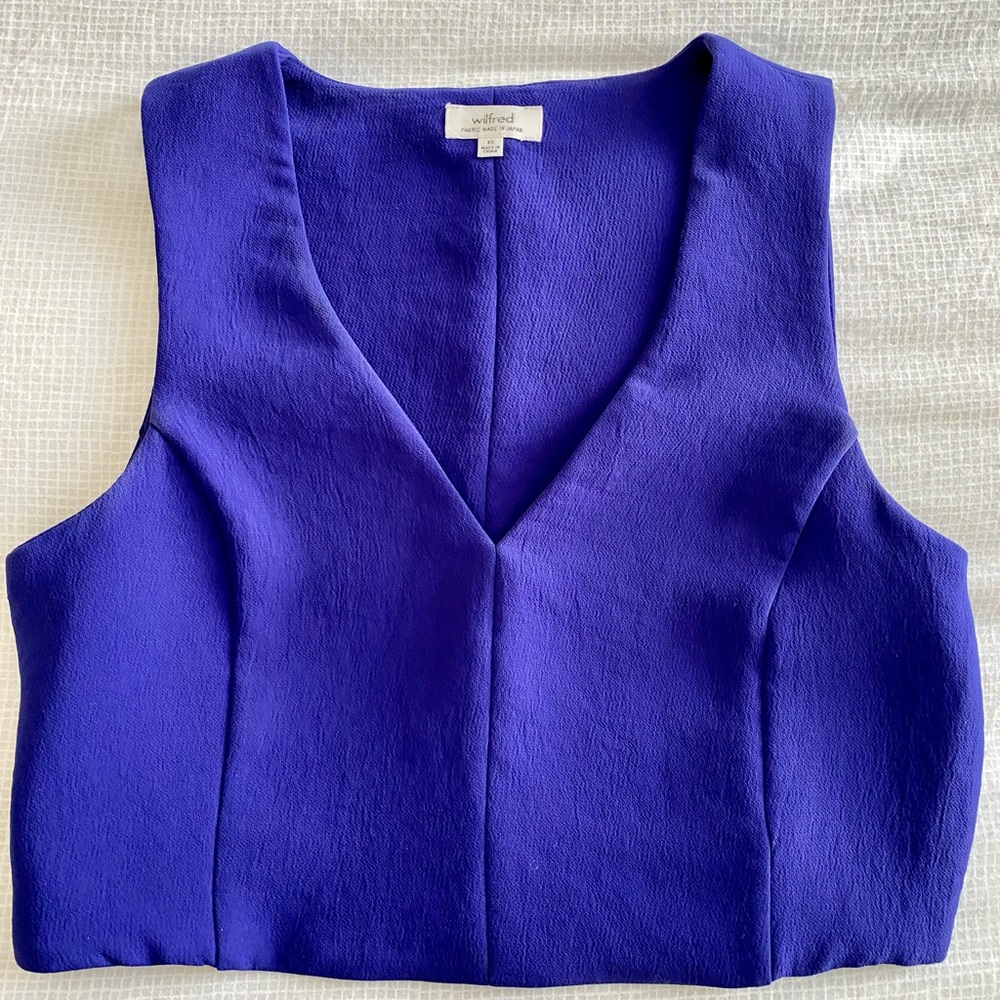 Aritzia Wilfred Crop Top